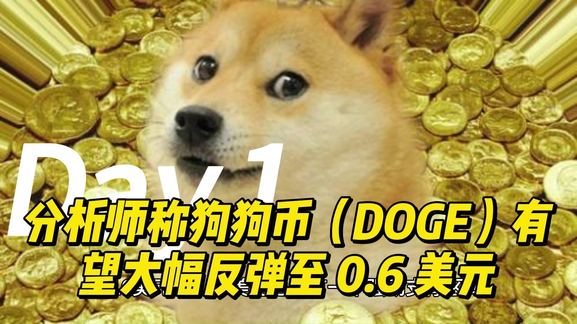 专家称狗狗币将在年底冲破TON美元，引发引发关注