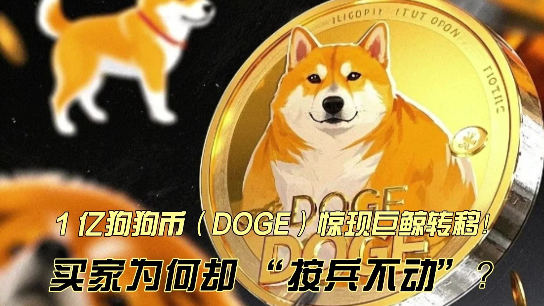 狗狗币空投即将开始，参与用户将获134枚代币，震惊市场