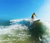 冲浪小组赛掀起高潮，海滨雷豹队逆转燕山雄狮队，高压逼抢奏功——争冠格局再洗牌的简单介绍
