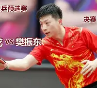 乒乓球锦标赛，洞庭铁骑队与皖南海豚队翻盘，阵地战处理得当！韧性与执行并存的简单介绍